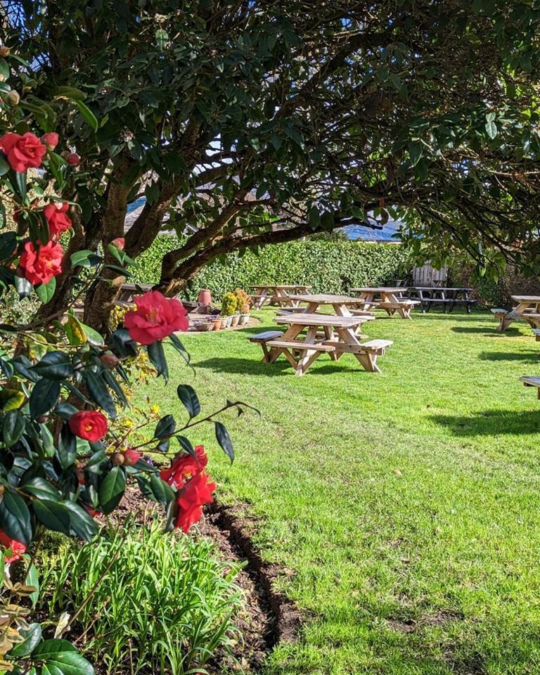 The Mortimer Arms (Adults Only) Romsey Ngoại thất bức ảnh